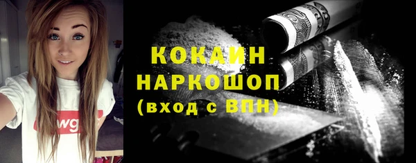 стаф Ладушкин