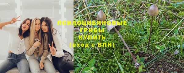 амф Лабытнанги