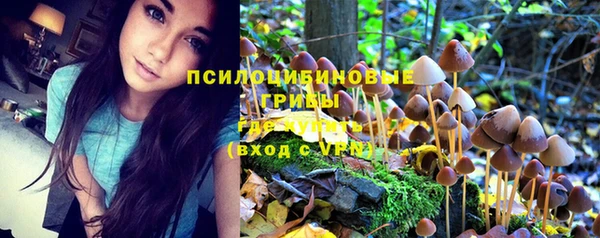 амф Лабытнанги