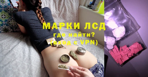 стаф Ладушкин
