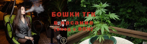 стаф Ладушкин